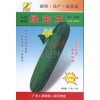 黄瓜种子：绿宝王灰青大吊瓜种子F-109
