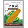 金得乐玉米抗倒抗逆增产剂-河北京宁化工