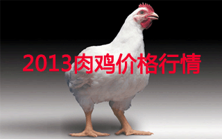 2013肉鸡价格行情