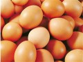 清明节前 鸡蛋价格或将上涨