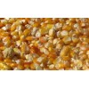 民发养殖合作社收购：玉米、大豆、高粱