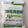 毛霉菌种 腊八豆豆豉专用菌种 家庭自制 舌尖上的中国