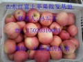 2016年山东水晶红富士苹果直销批发供应价格
