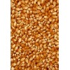 常年收购玉米大豆高粱碎米淀粉等饲料原料