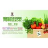 2017第十四届上海国际有机食品及绿色食品展览会