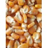 玉米近期价格 厂家常年求购玉米高粱碎米棉粕次粉荞麦油糠