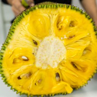 海南菠萝蜜新鲜热带水果木菠萝现摘现发货源充足
